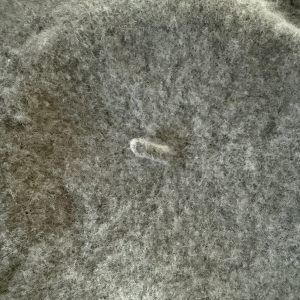Anthropologie Beret Hat - Picture 3 of 4